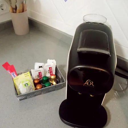 Jardines De La Magdalena