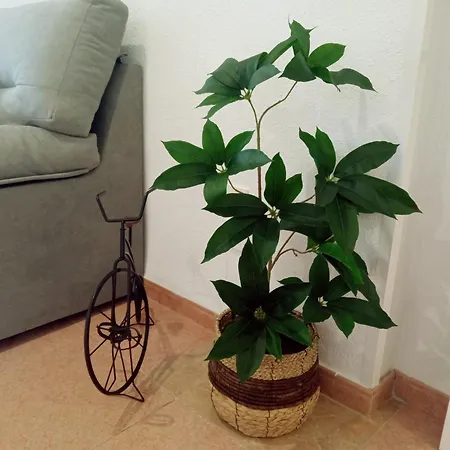 Appartement Jardines De La Magdalena