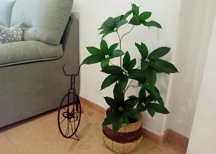 Lägenhet Jardines De La Magdalena